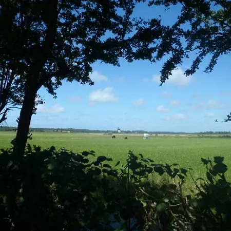 Apartamento De Stranding *